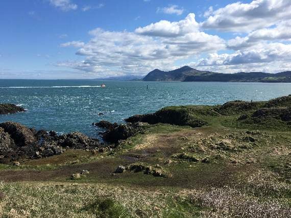 Porthdinllaen likened to South African resort