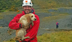 Rescuers save dog trapped in old mine