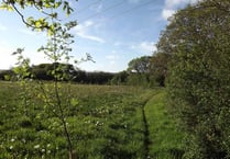 Plans for natural human burial site approved