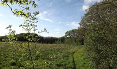 Plans for natural human burial site approved