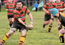 Cardigan notch back-to back wins