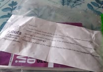 Scouts defend campaign after plastic complaint