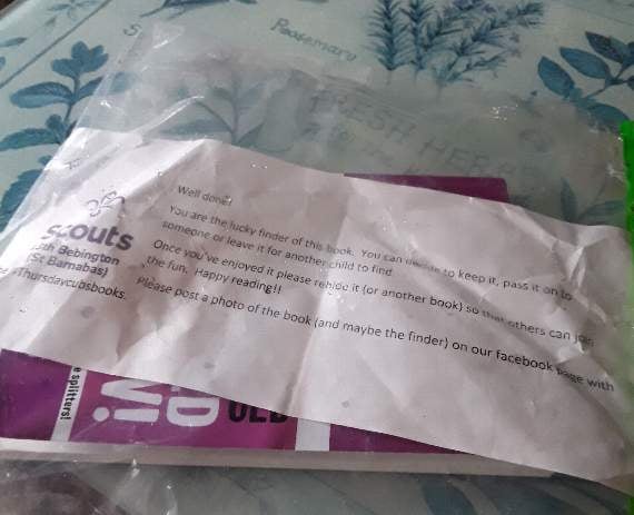 Scouts defend campaign after plastic complaint