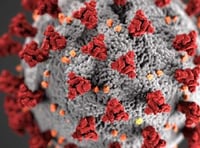Six new cases of coronavirus confirmed in Wales