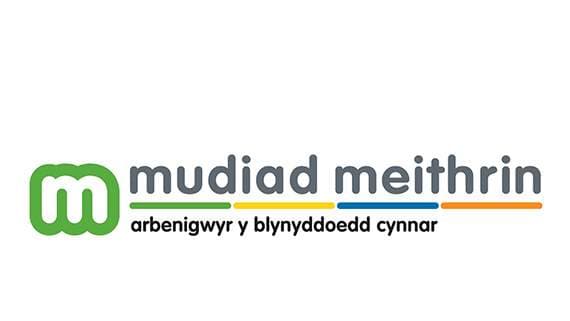 Welsh at Home Week to fill gap in young children's education | cambrian ...