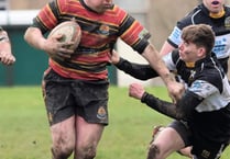 Cardigan come good against Quins