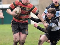 Cardigan come good against Quins