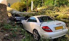 Cars crushed by fallen trees at Portmeirion