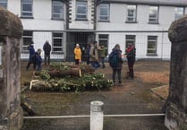 Protests at hospital site halt felling of ‘iconic’ trees