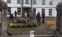 Protests at hospital site halt felling of ‘iconic’ trees
