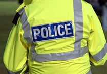 Armed police called out after reports of attempted robbery