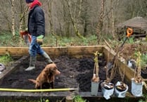 Scouts plant fruit-growing garden thanks to scheme