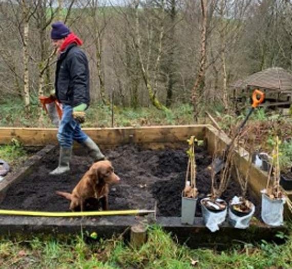 Scouts plant fruit-growing garden thanks to scheme