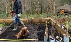 Scouts plant fruit-growing garden thanks to scheme