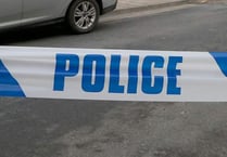 Large emergency service response after collision