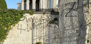  The knuckle draggers in Cylch yr Iaith