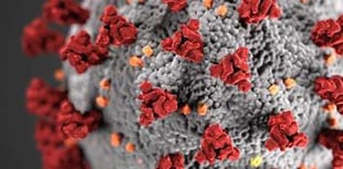 44 deaths reported in latest coronavirus figures for Wales
