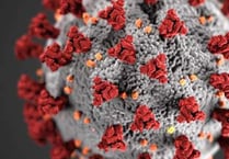 44 deaths reported in latest coronavirus figures for Wales