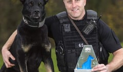 Police dog who found missing woman and baby receives national award