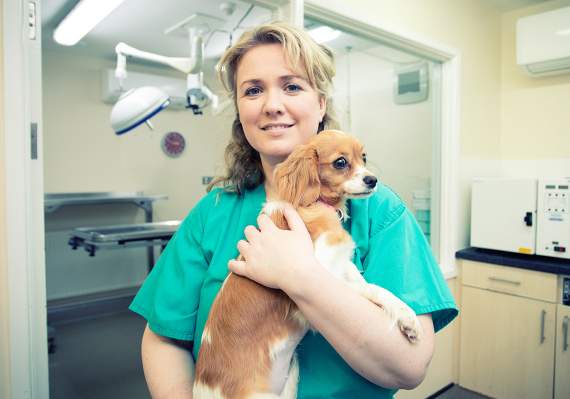 Aberystwyth to get new dedicated veterinary surgical wing opening this week