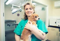 Aberystwyth to get new dedicated veterinary surgical wing opening this week