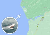 Cardigan Bay fisherman in close encounter with shark