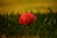More cricket at Aber's Geufron ground to celebrate 25th anniversary