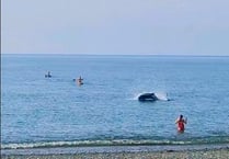 WATCH: Close encounter with dolphin in Aberystwyth