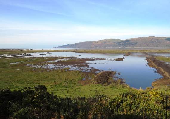 Natural Resources Wales struggling to meet its commitments