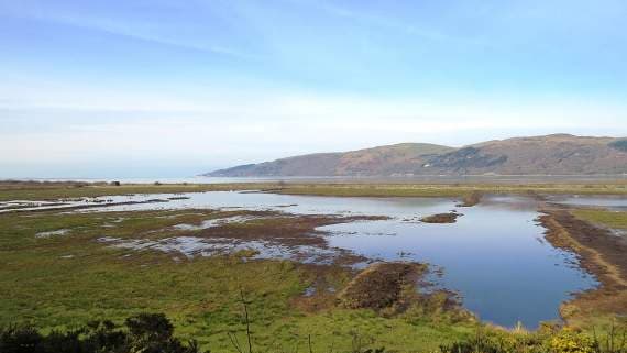 Natural Resources Wales struggling to meet its commitments | cambrian ...