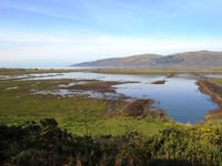 Natural Resources Wales struggling to meet its commitments