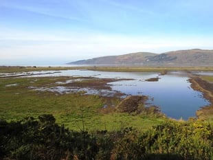 Natural Resources Wales struggling to meet its commitments