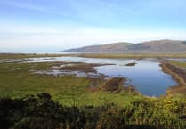 Natural Resources Wales struggling to meet its commitments