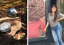 Artist's nature-inspired work displayed online