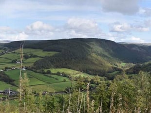 Have your say on the future of Ystwyth Valley forestry