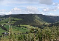 Have your say on the future of Ystwyth Valley forestry