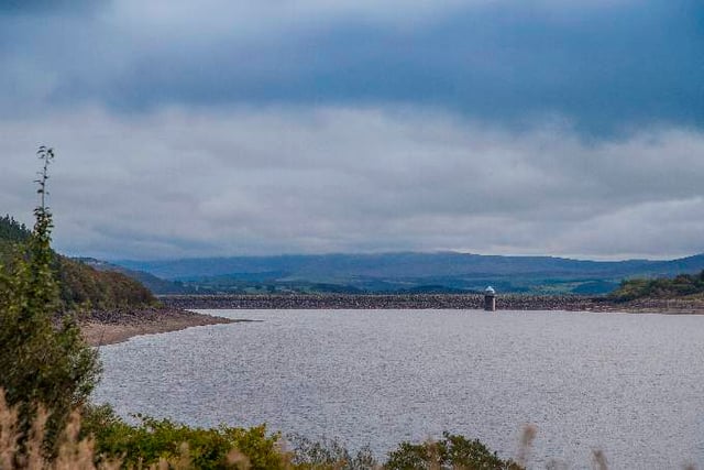 Blue-green algae warning for Llyn Celyn