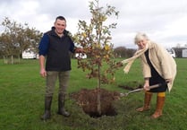 Strategy for sustainable woodland expansion in Wales backed by MS