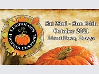 Pumpkin festival to get you in the Halloween spirit