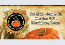 Pumpkin festival to get you in the Halloween spirit