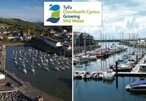 Mid Wales ‘continually disappointed’ on growth deal funding