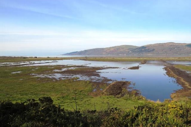 Bird flu confirmed in Ceredigion