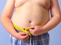 Council draws up plans to tackle obesity