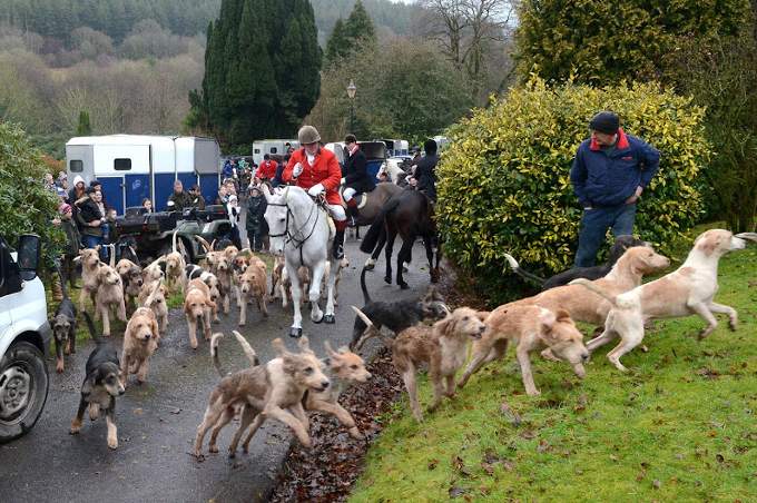 Trail hunting set to be banned in Wales 