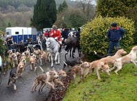 Trail hunting set to be banned in Wales 