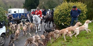 Trail hunting set to be banned in Wales 