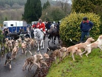 Trail hunting set to be banned in Wales 