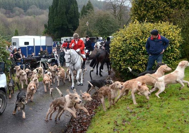 Trail hunting set to be banned in Wales 