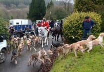 Trail hunting set to be banned in Wales