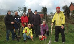 Environment group gets to work planting trees